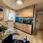 Dzianiszowka - Basen Jacuzzi Sauna * Dzianisz